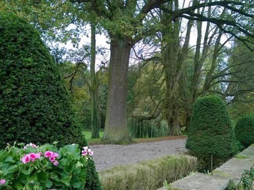 Le Chateau D'Osthoffen Esterno foto